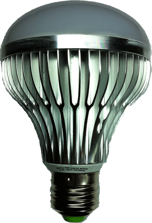 geckolighting LED R80 globe